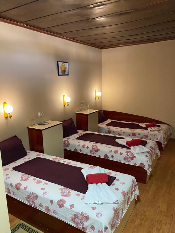 Motel Dilijans ヴィディン エクステリア 写真